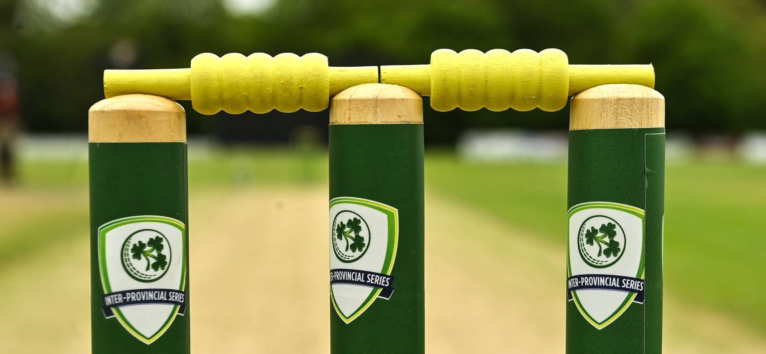 Cricket stumps and bails