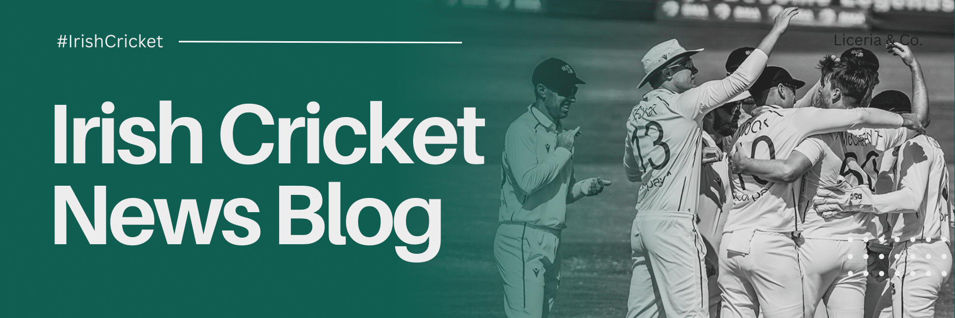 Irish Cricket News Blog
