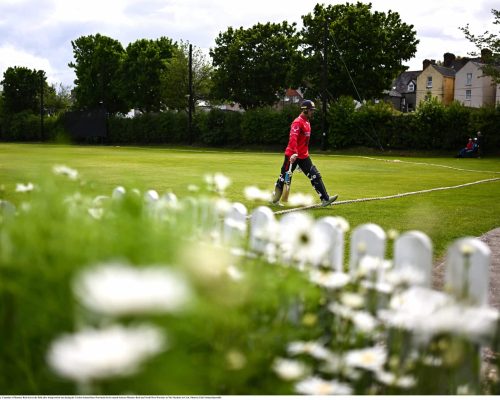 15 May 2023; Murray Commins of Munster Reds leaves the field after being bowled out during the Cricket Ireland Inter-Provincial Series match between Munster Reds and North West Warriors at The Mardyke in Cork. Photo by Eóin Noonan/Sportsfile